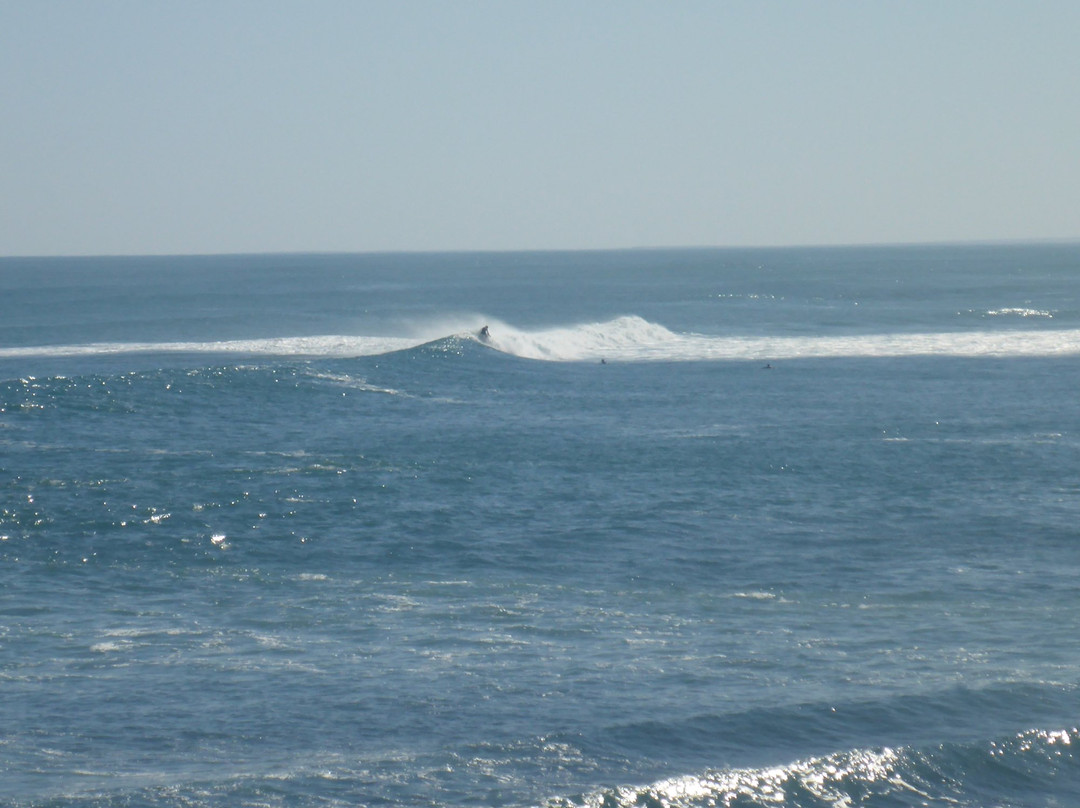 Cactus Beach-Penong必去景点