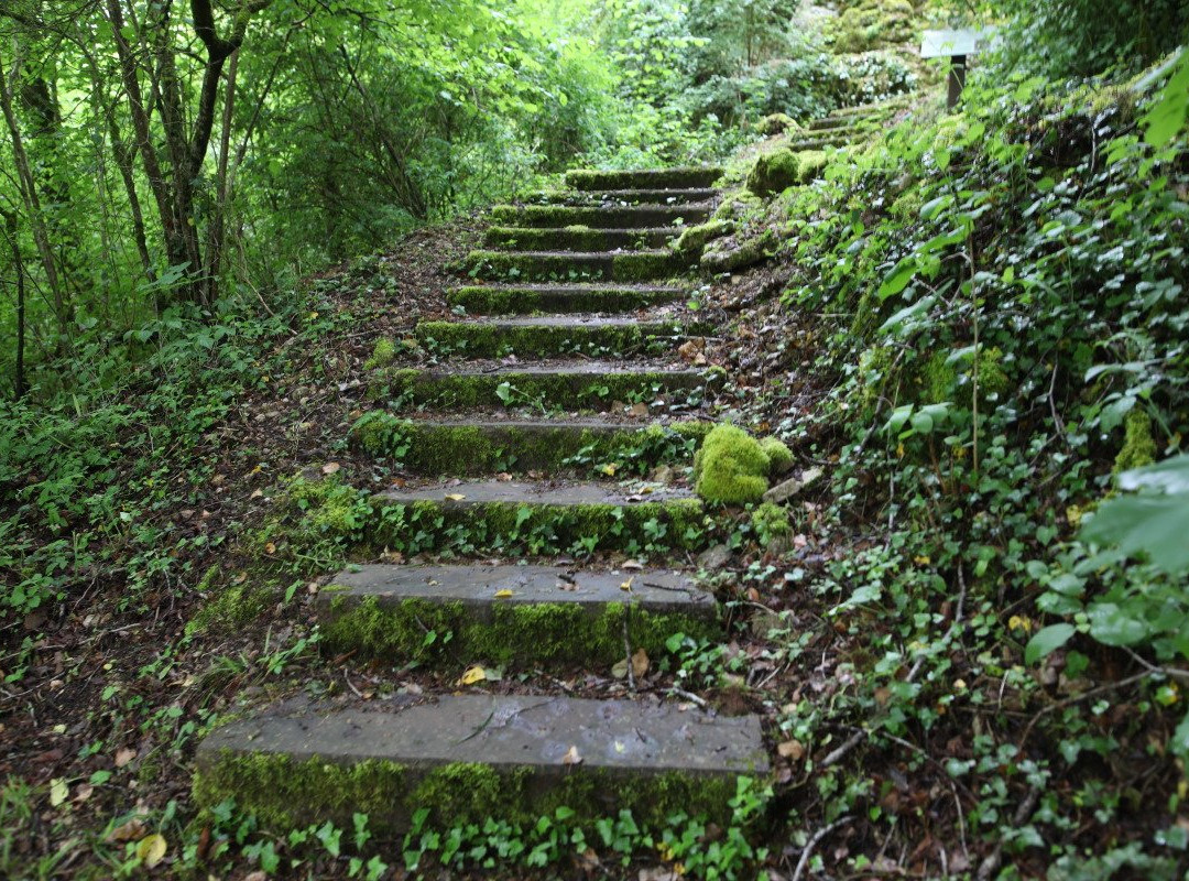 La Source de la Marne-Balesmes-sur-Marne必去景点