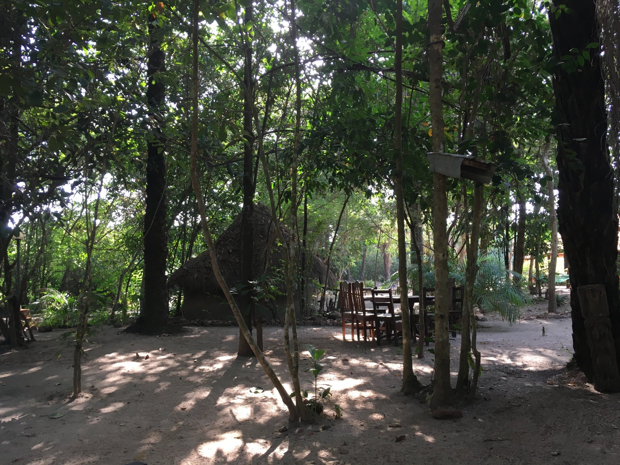 Les Eaux de kilissi-官方