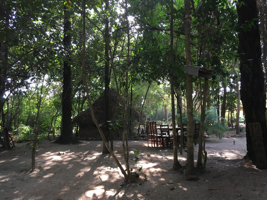 Kindia酒店住宿-Les Eaux de kilissi