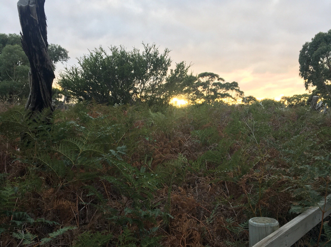 Royal Avenue Park Playground-Sandringham必去景点