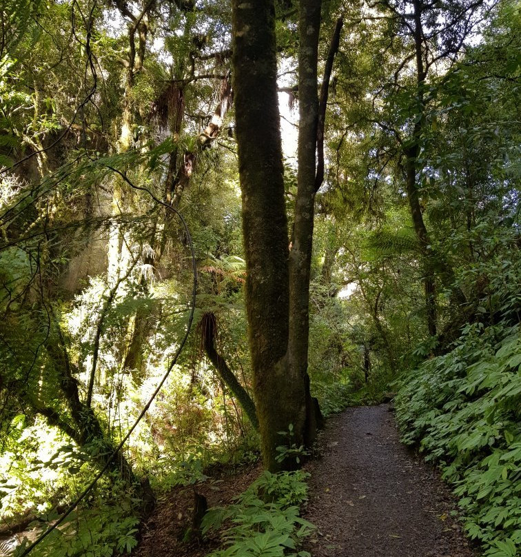 Waitomo Caves Tours & Transfers-怀托摩洞穴必去景点