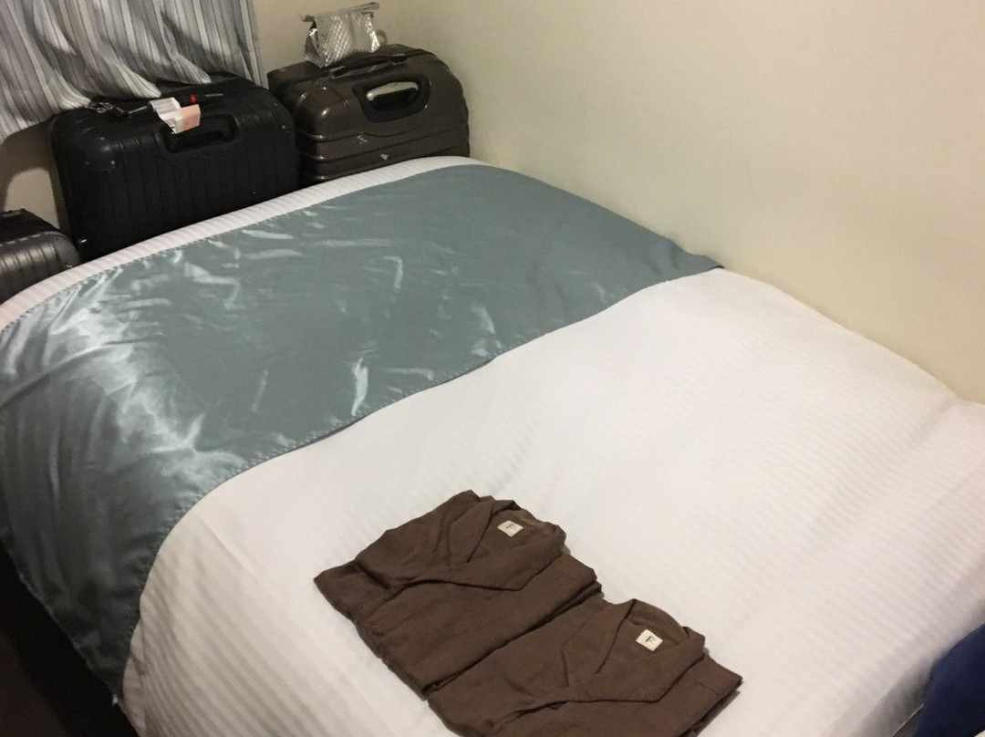 西葛西卢米埃尔酒店主图