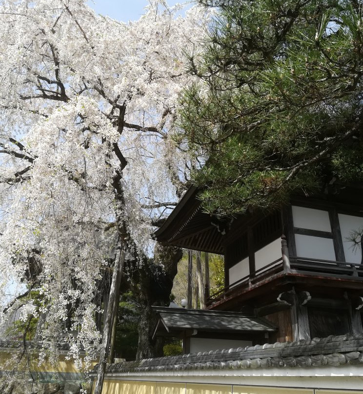Jofukuji Temple-下吕市必去景点
