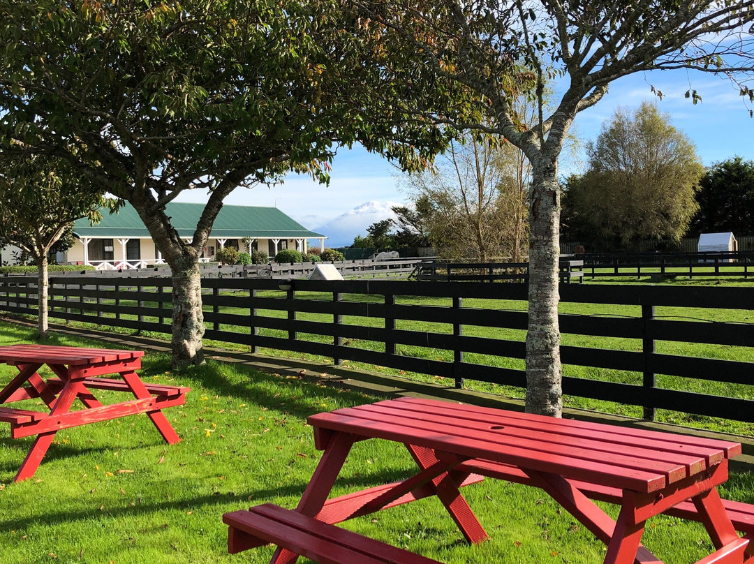 Kerry Lane Motel主图