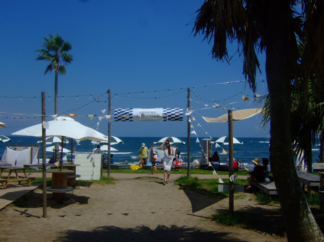 Aoshima Beach Park-宫崎市必去景点