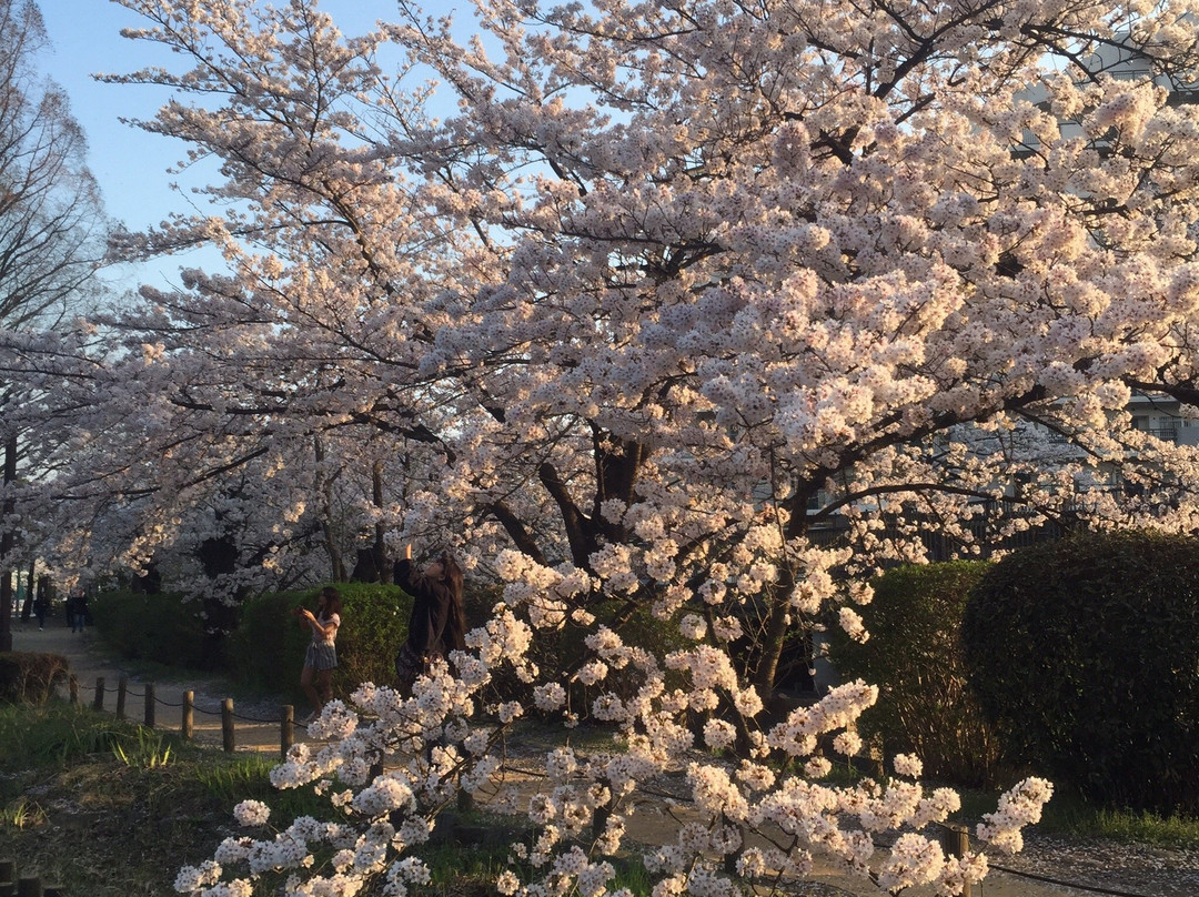 Tetsugakudo Park景点图片