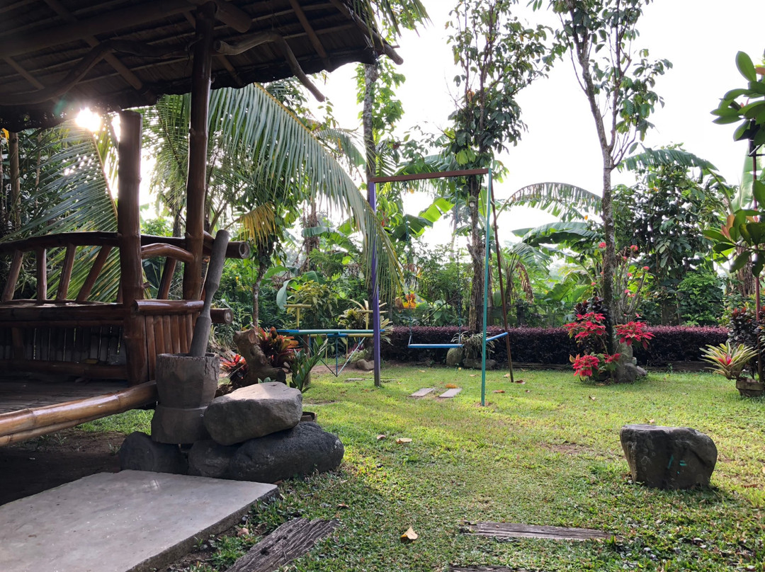 Balai Noel