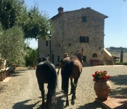 Antico Podere Il Poggino主图