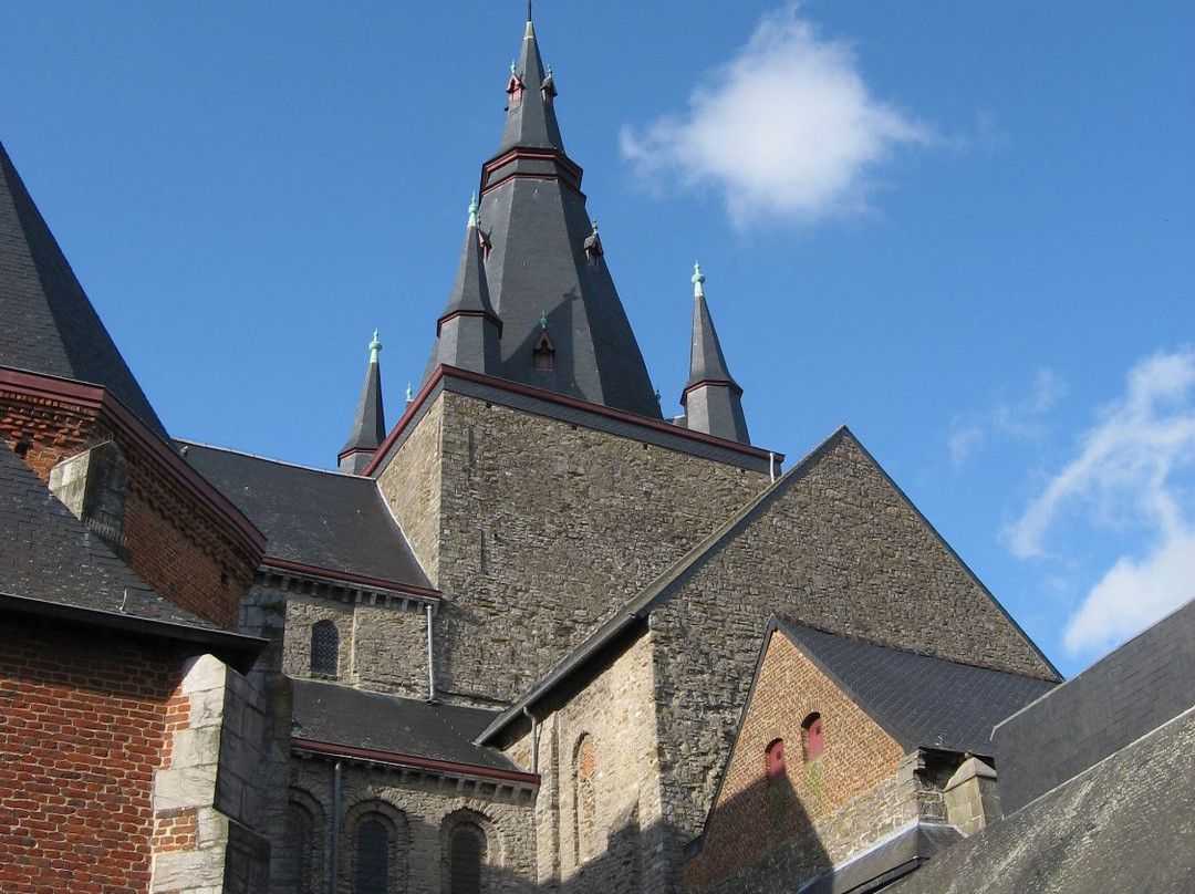 Collegiale Saint-Vincent de Soignies景点图片