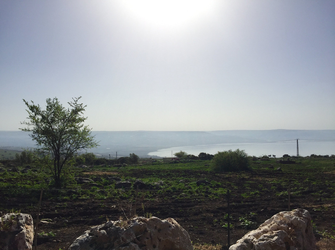 Vered Hagalil Guest Farm-加利利必去景点