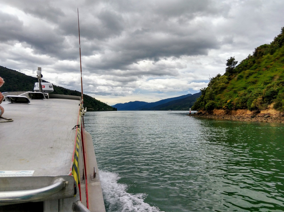 Pelorus Sound Water Taxi & Cruises景点图片