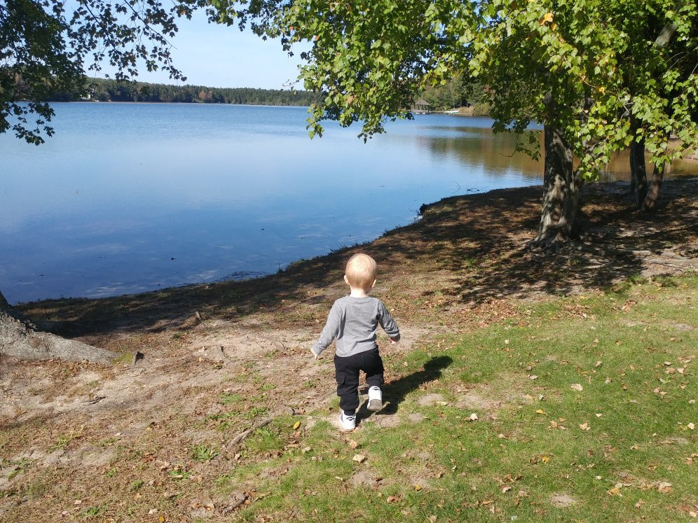 Manahawkin Lake Park景点图片