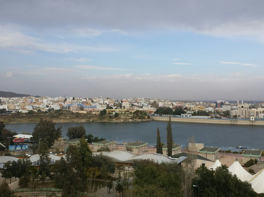 Abha Palace Hotel主图