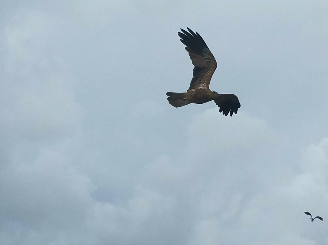 Territory Experiences One Day Tours-达尔文市必去景点