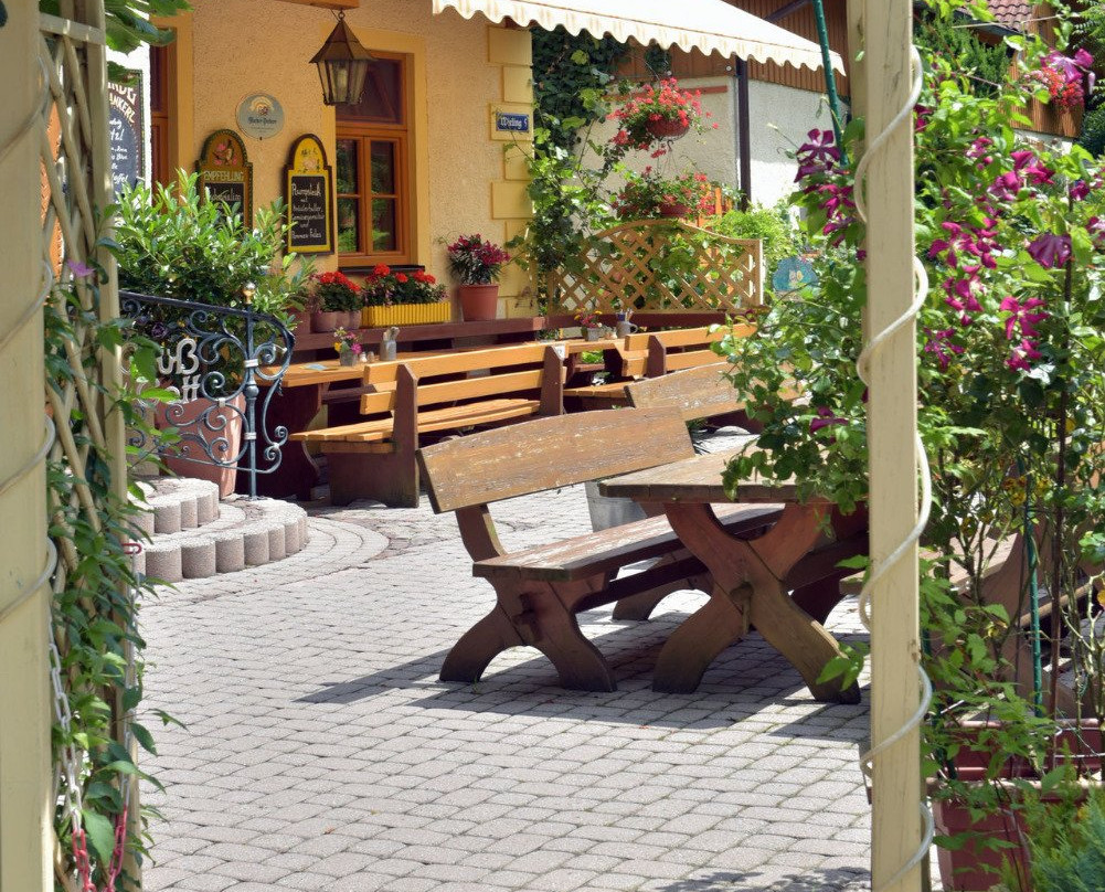 Akzent Hotel Alte Linde Wieling主图