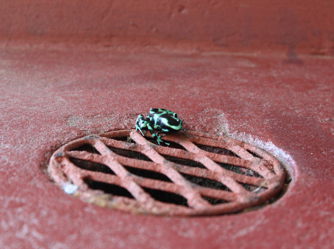 Las Nubes Resort主图