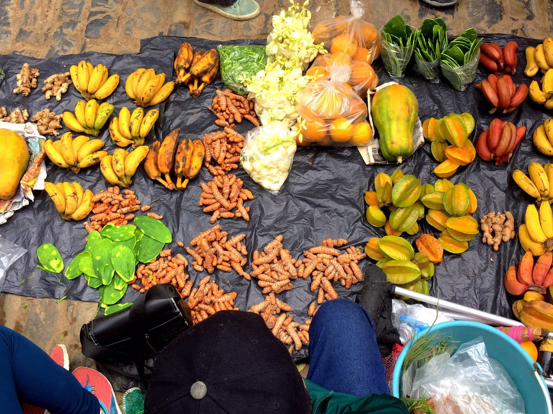 Jardin Huasteca主图