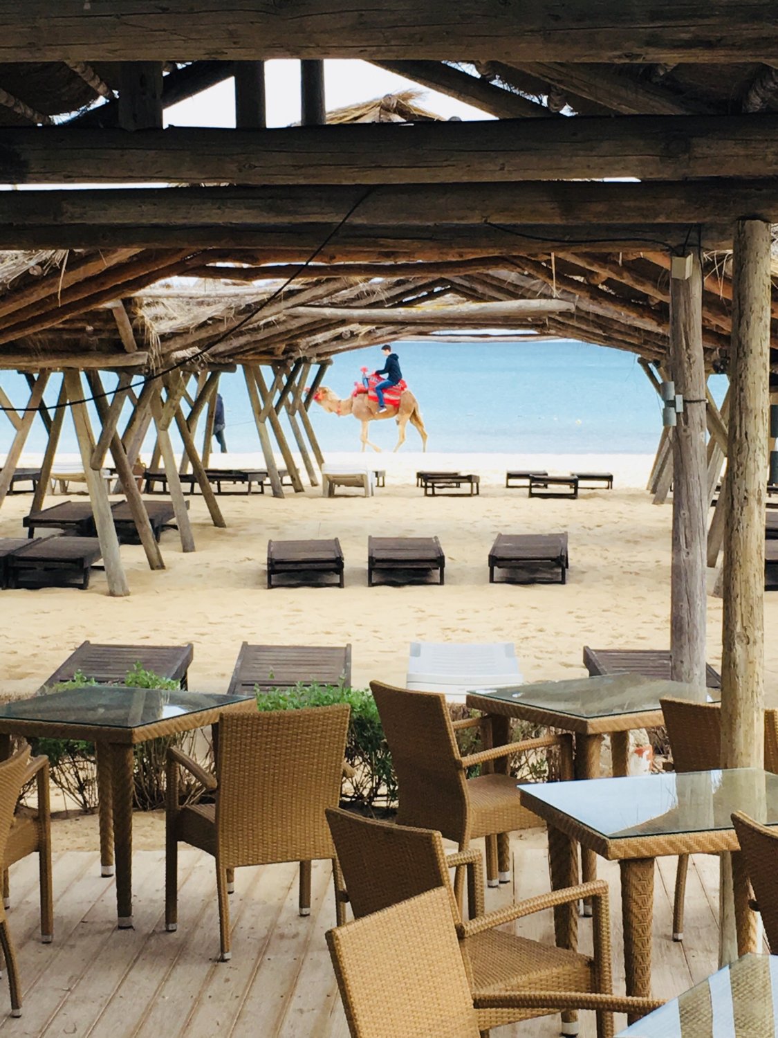 The Orangers Beach Resort & Bungalows-泳池