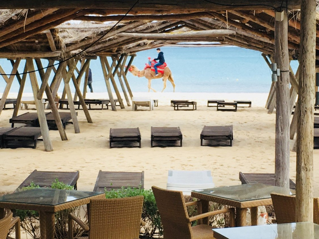 The Orangers Beach Resort & Bungalows主图