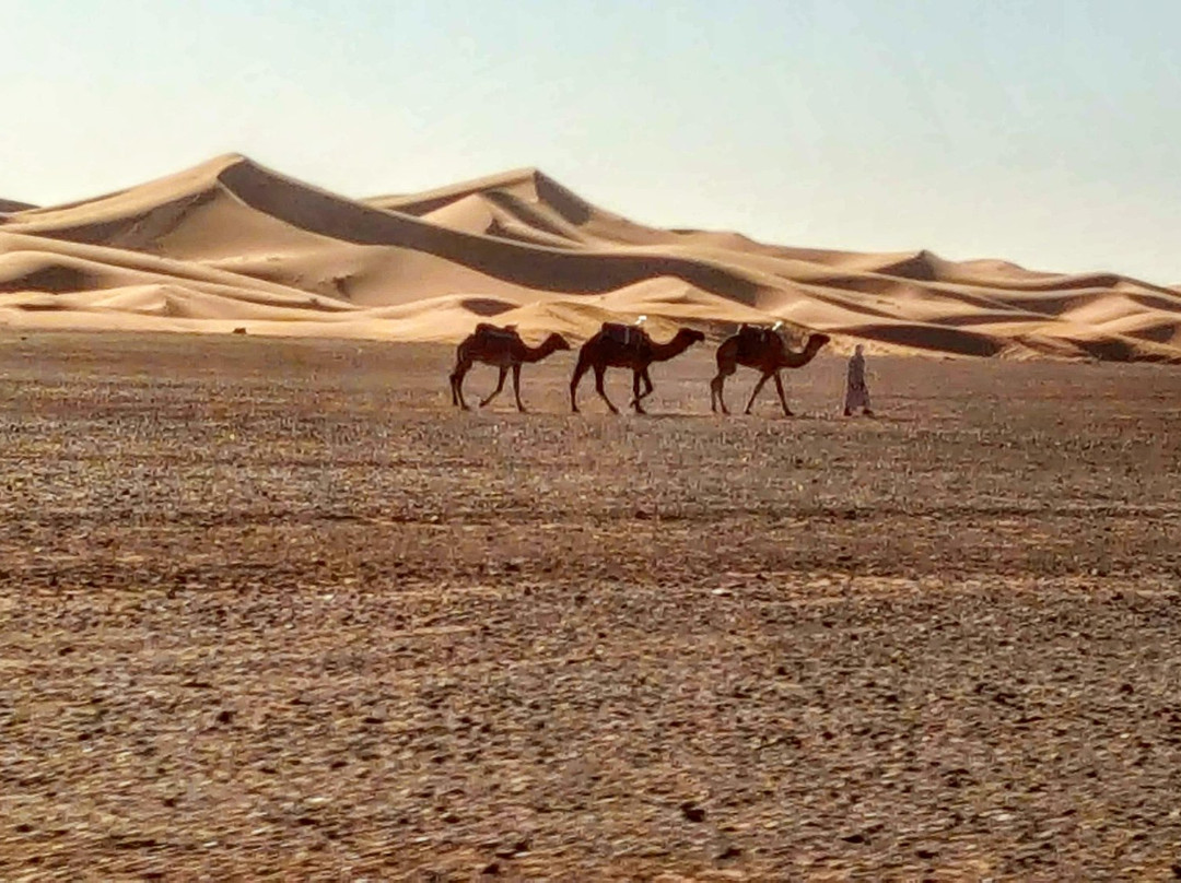 Morocco Desert Travel景点图片