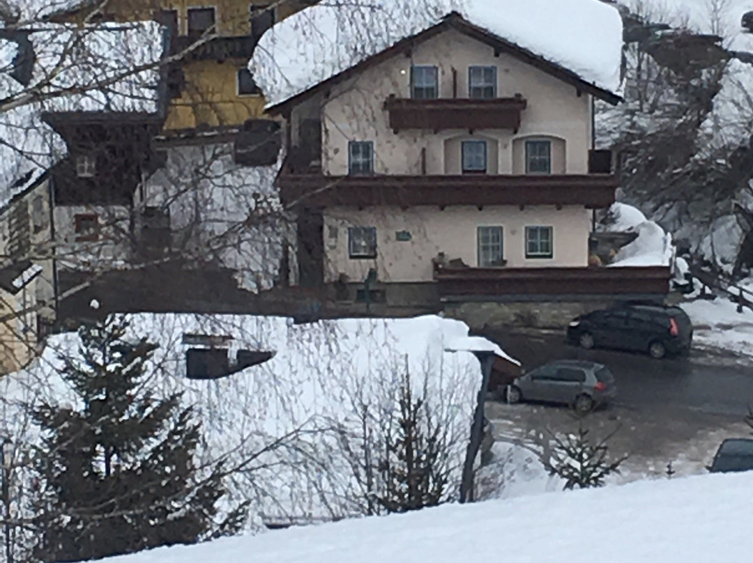 Dienten am Hochkönig酒店住宿-Pension Sonnenblick