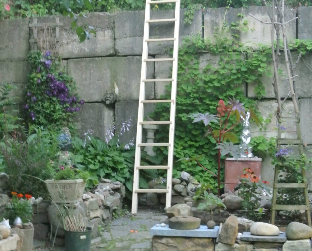 Dubuque Lane Guest House主图