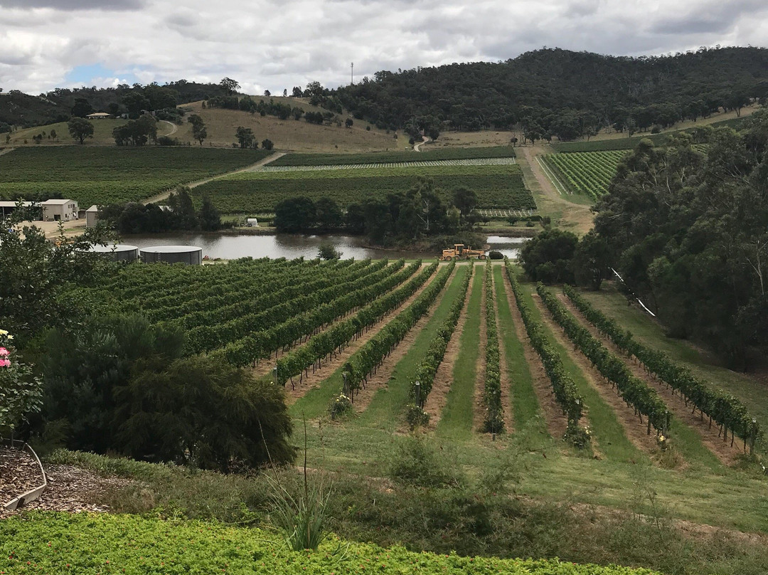 Yarra Valley Winery Tours景点图片