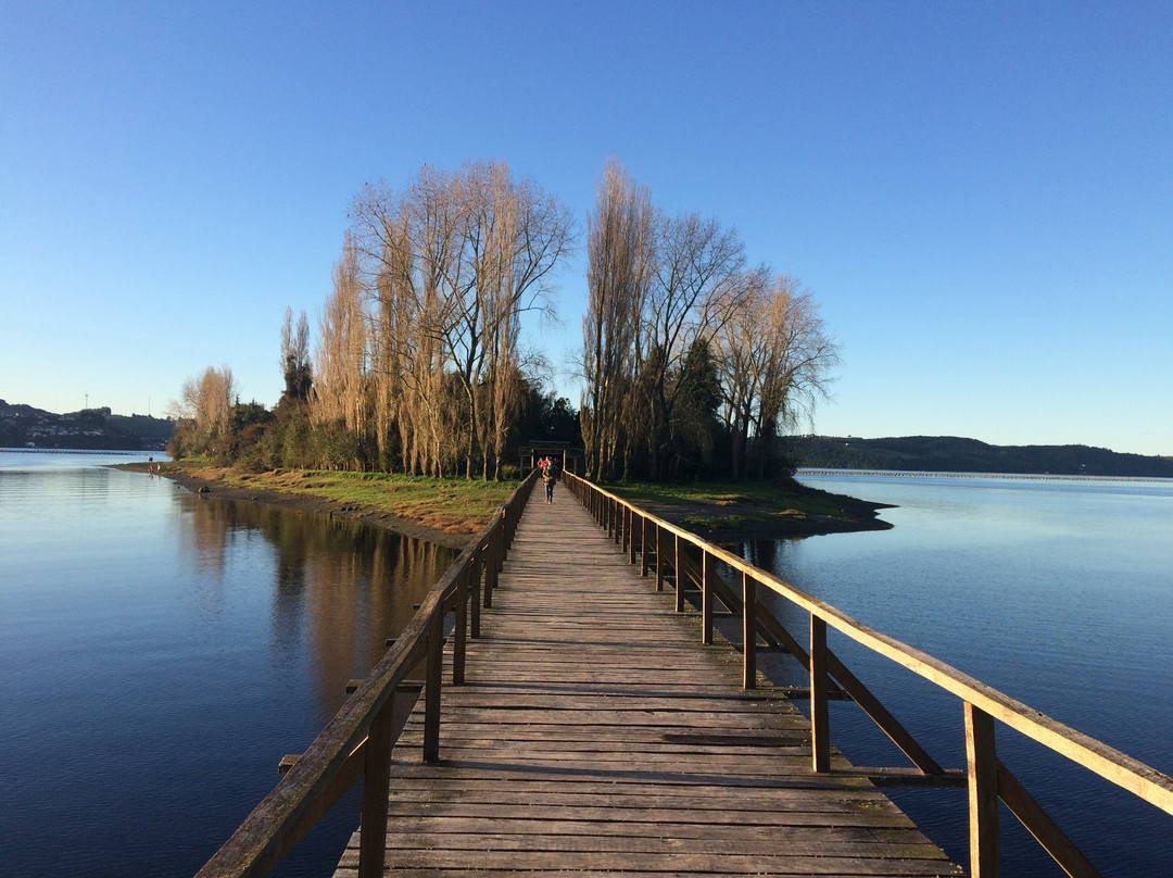 Quemchi旅游攻略图片
