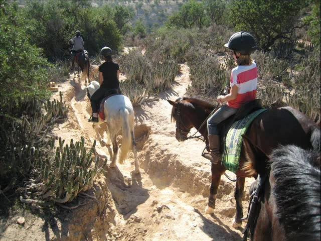 Cheval Agadir Ranch Acienda-奥瑞尔必去景点