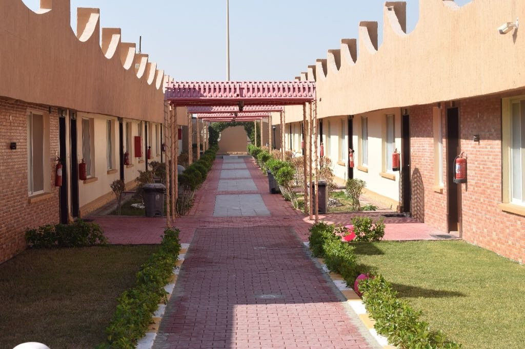 Dolphin Resort主图