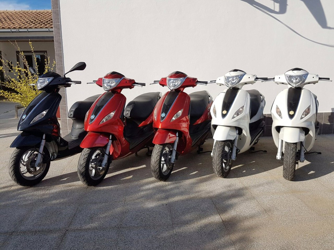 Trike Shop景点图片