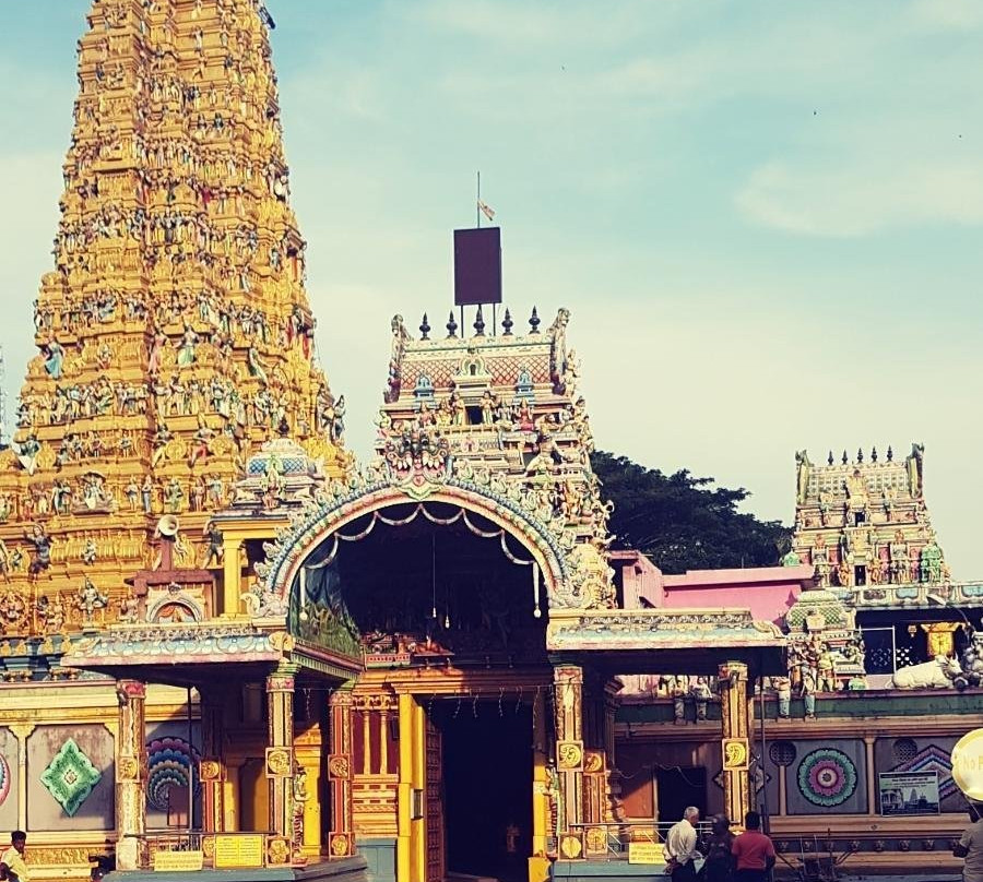 Sri Lanka My Driver SD Tours景点图片