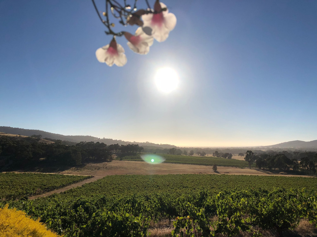 Warrenmang Winery & Resort主图