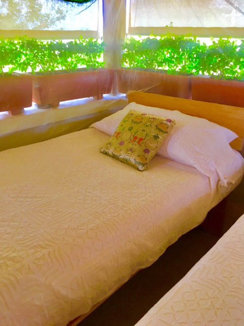 Villa Maria B&B主图