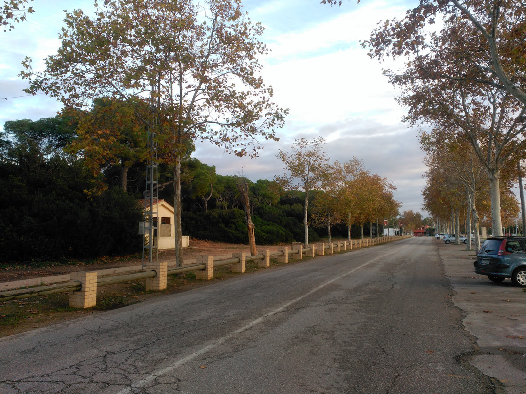 Parque de las Canteras景点图片