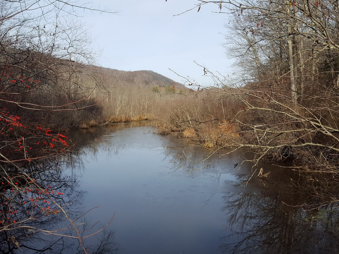 Roaring Brook Park景点图片