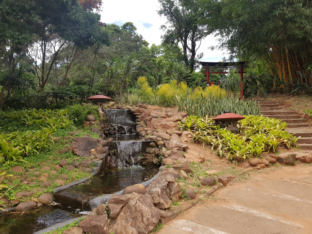Durban North Japanese Gardens景点图片