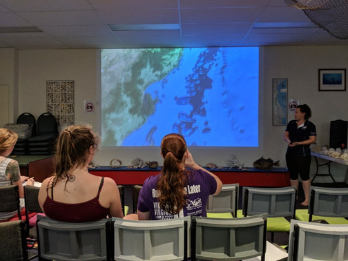 Marine Discoveries-凯恩斯必去景点