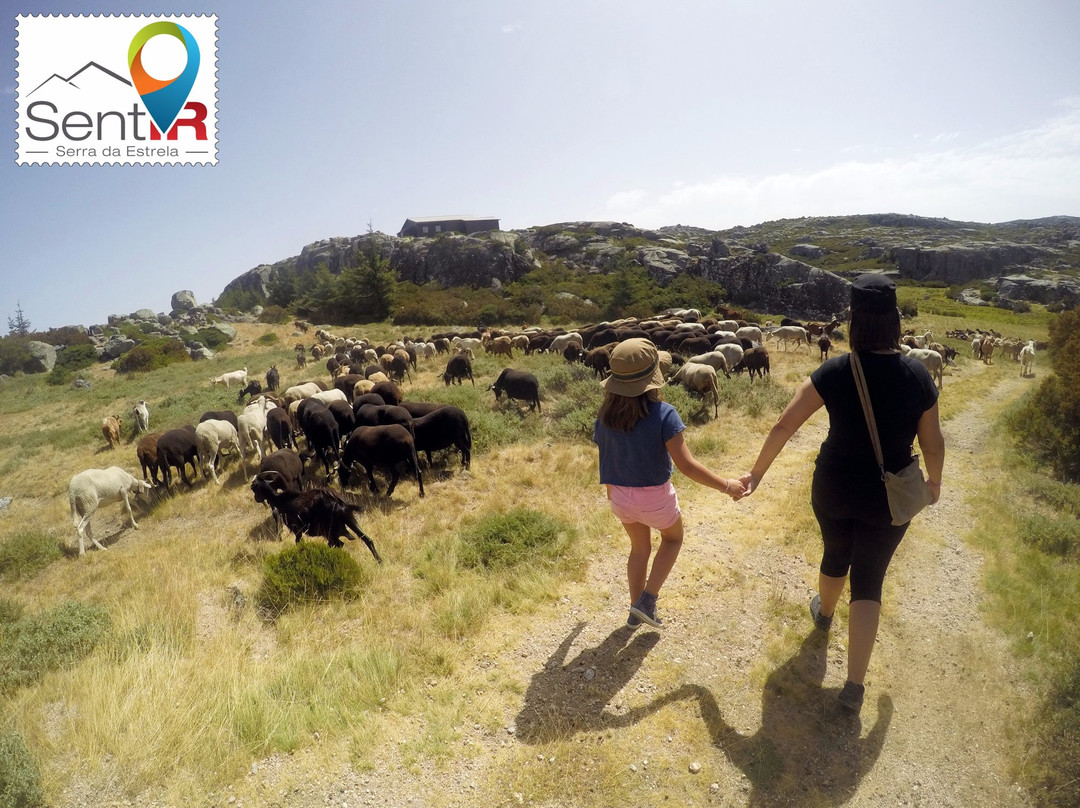 Sentir Serra da Estrela景点图片