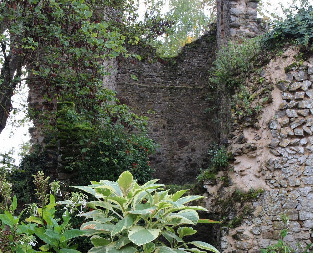 Castle of Fresnay Sur Sarthe景点图片