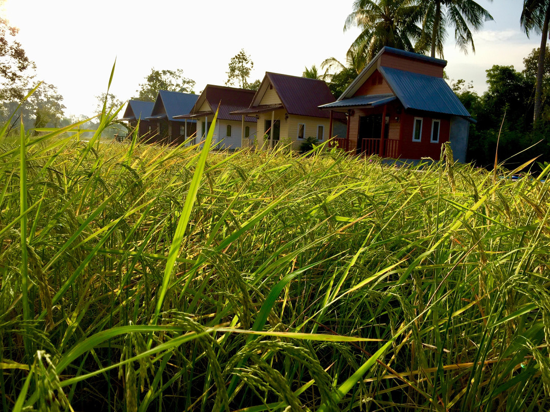 Baan Thung Home Stay