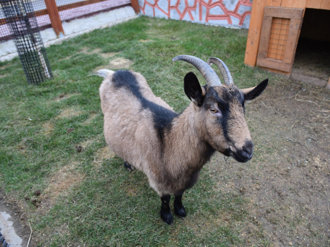 Eco Park Biosphere-卡卢加必去景点
