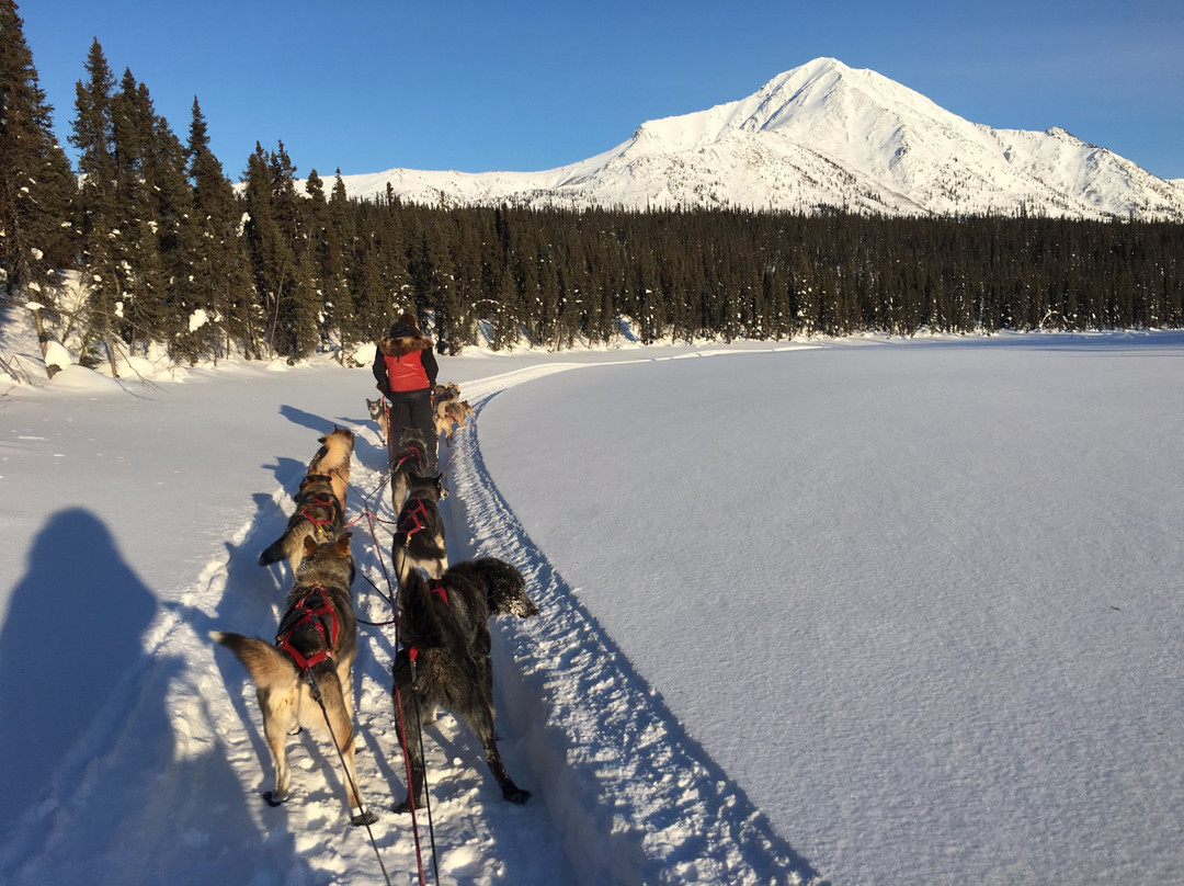 Friendly Arctic Adventures景点图片