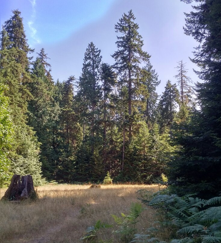 Heritage Forest-魁利克姆海滩必去景点
