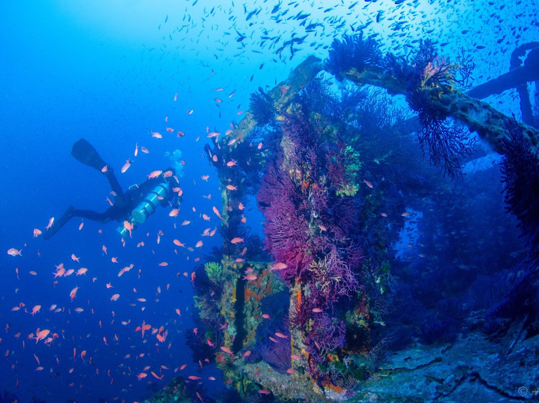 Divin'giens Votre Partenaire Plongée-耶尔必去景点