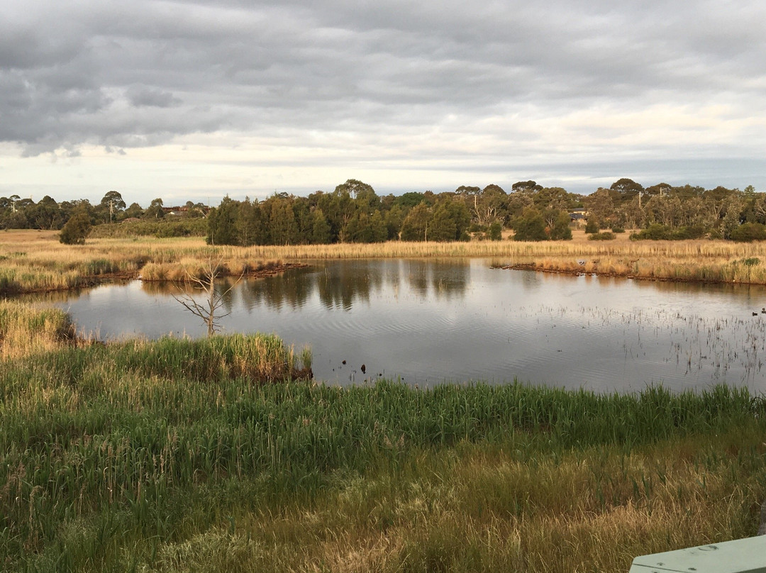 Edithvale-Seaford Wetlands-锡福德必去景点
