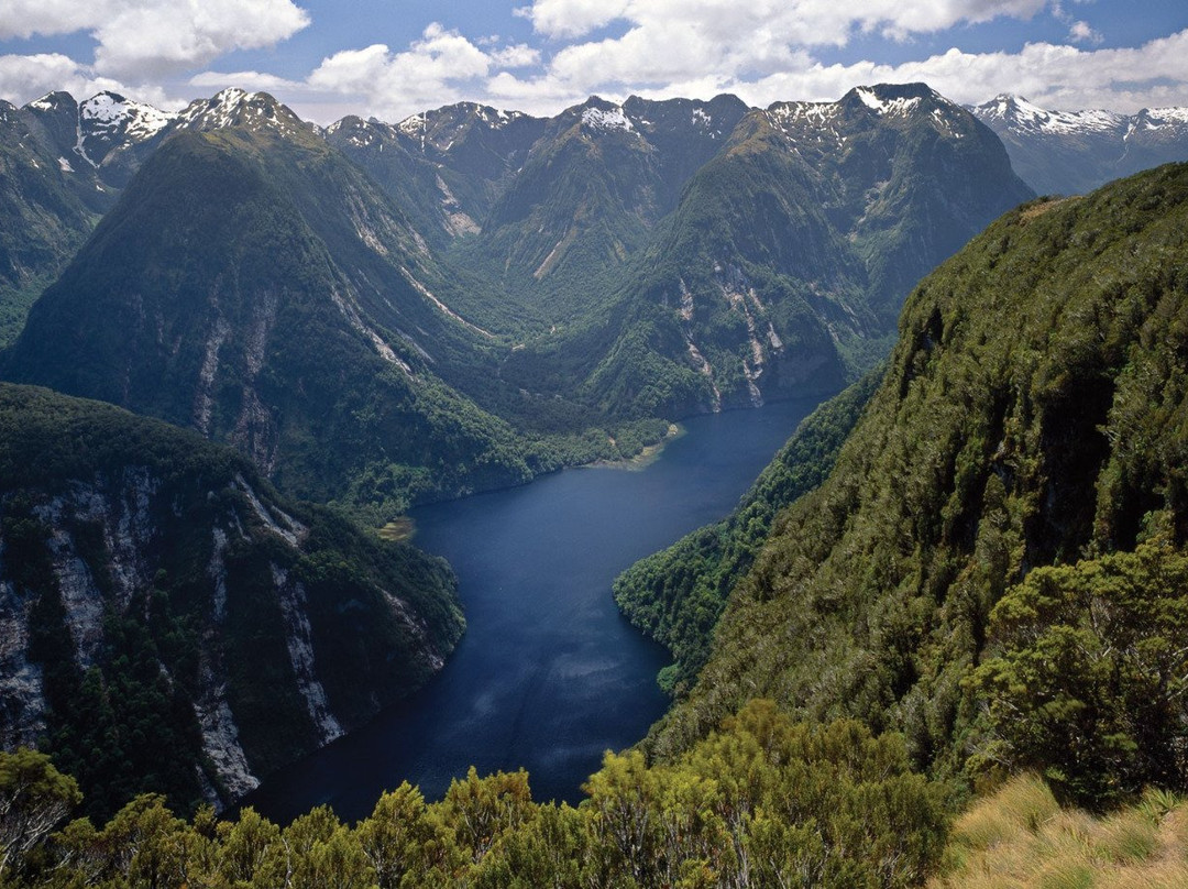 Fiordland Helicopters-蒂阿瑙必去景点