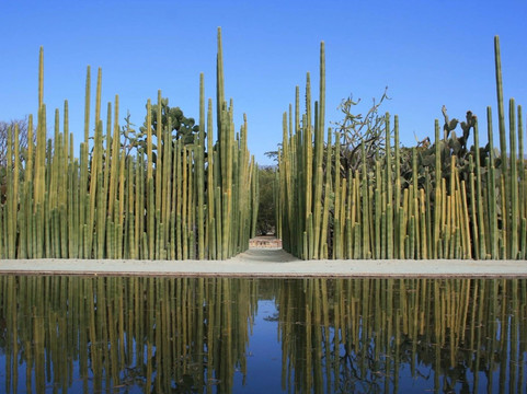 Chimalli-瓦哈卡必去景点