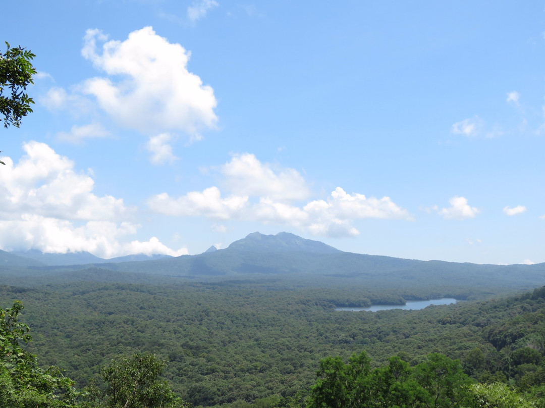 Thoonakkadavu Lake-孔巴托必去景点
